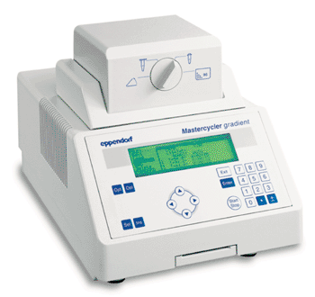 Image: Polymerase chain reaction Mastercycler gradient (Photo courtesy of Eppendorf).